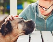 Unlocking the Path to Compassion: Pet Loss Grief Certification